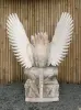 Product image 8 of the product “Singa ambara raja from Acazia wook, easy crack made from wood ”